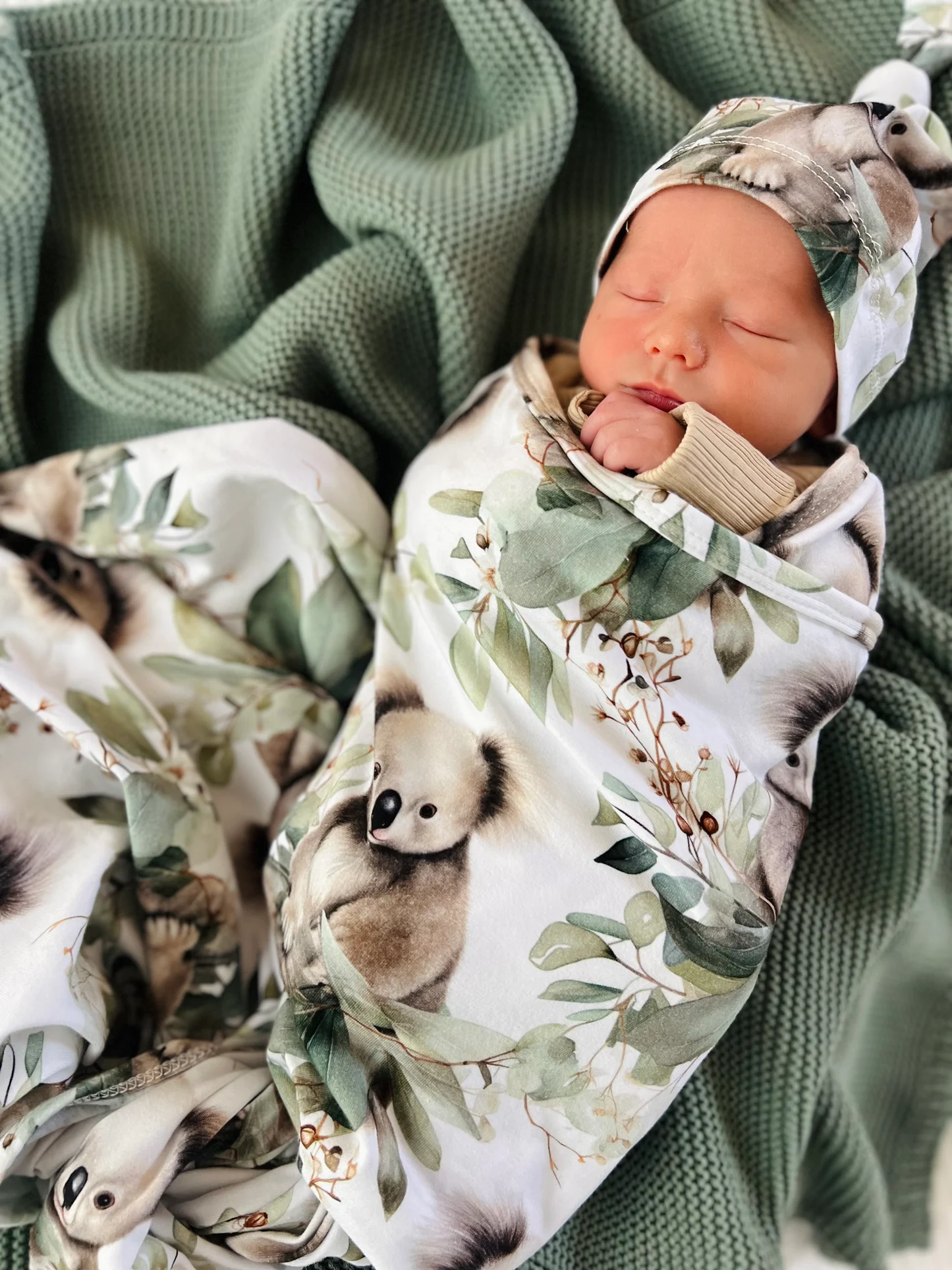 Cuddle Bug & Co Jersey Baby Wrap Set - Koala