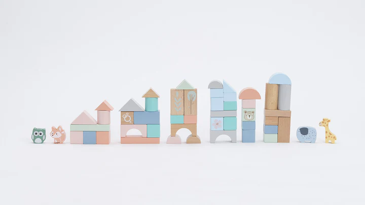 Wooden Activity Blocks