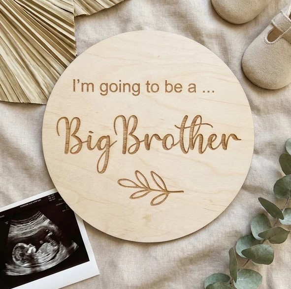 Timber Tinkers Big Brother Announcement Disc