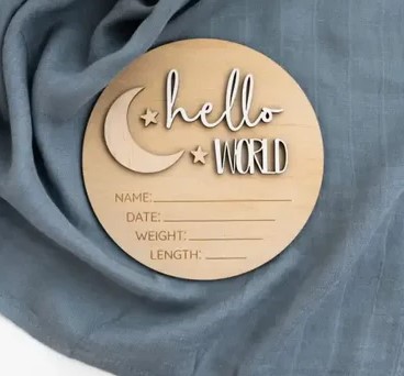Timber Tinkers Hello World Moon Birth Announcement Disc