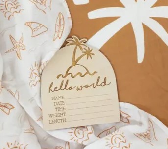 Timber Tinkers Hello World Palm Springs Birth Announcement Disc