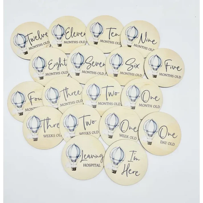 Timber Tinkers Hot Air Balloon Milestone Disc Set
