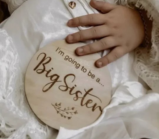 Timber Tinkers Big Sister Announcement Disc