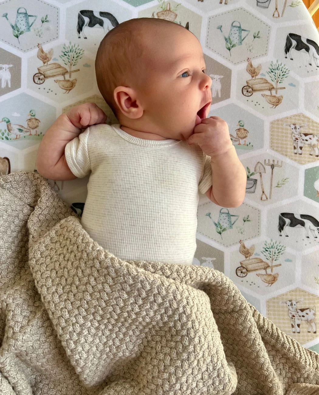 Cuddle Bug & Co Co-Sleeper Sheet - Patchwork Farm