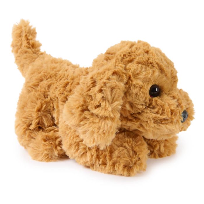 Little Muttsy Dog