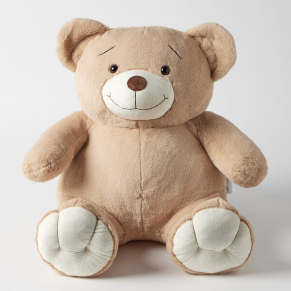 Davey the Giant Bear
