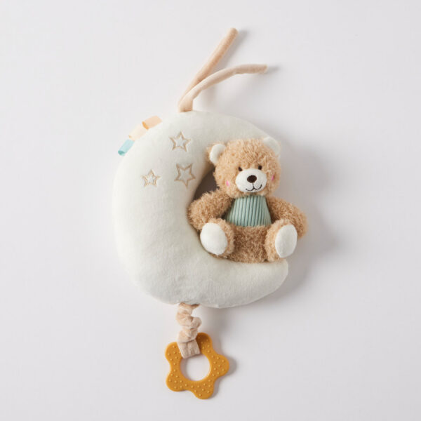 Musical Teddy Bear on Moon - Sage